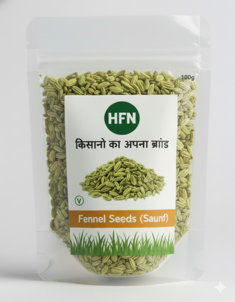 Fennel Seeds 100g