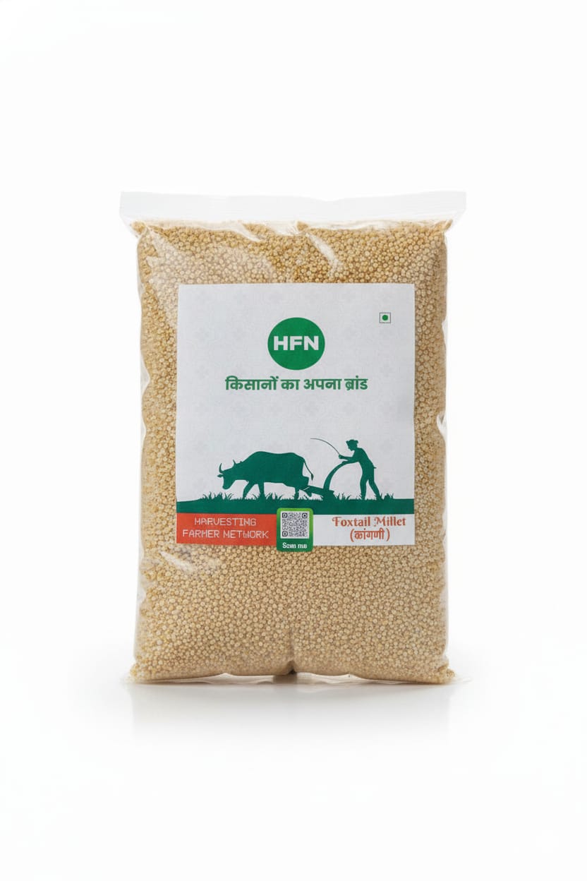 Fox Tail Millet 1Kg